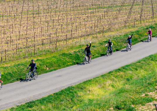 Le tourisme &agrave; v&eacute;lo : une autre mani&egrave;re de voyager en groupe